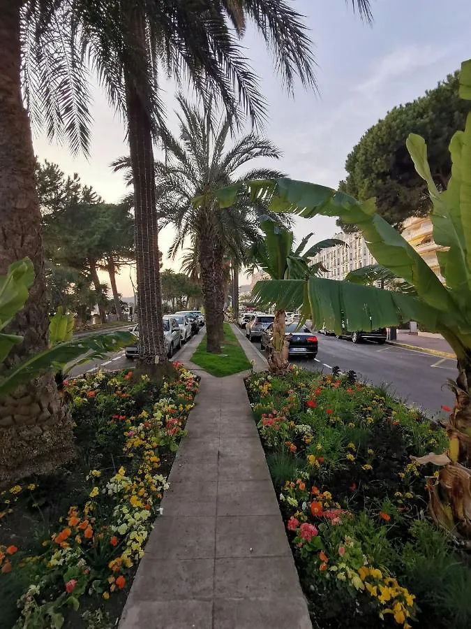 Apartment Le Chester Appartement 3 Pieces Cannes Proche Croisette Bord De Mer France