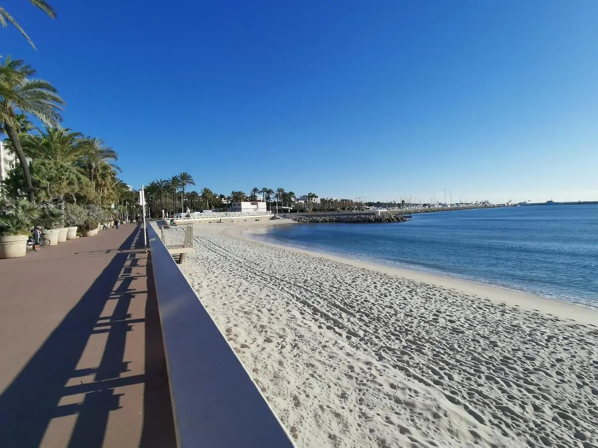 Apartment Le Chester Appartement 3 Pieces Cannes Proche Croisette Bord De Mer