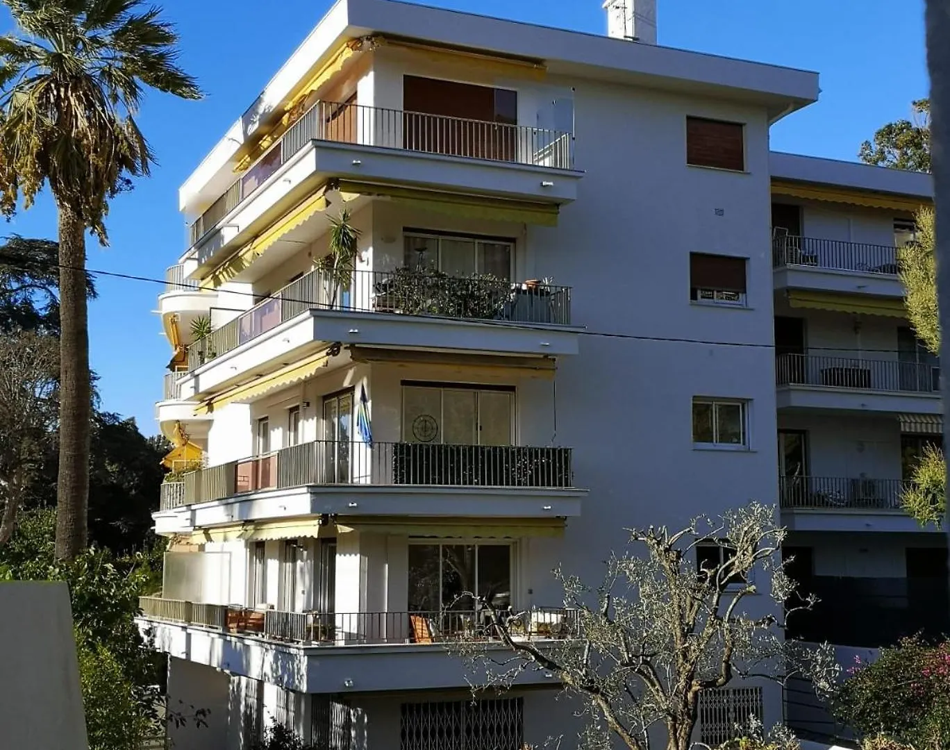 Le Chester Appartement 3 Pieces Cannes Proche Croisette Bord De Mer